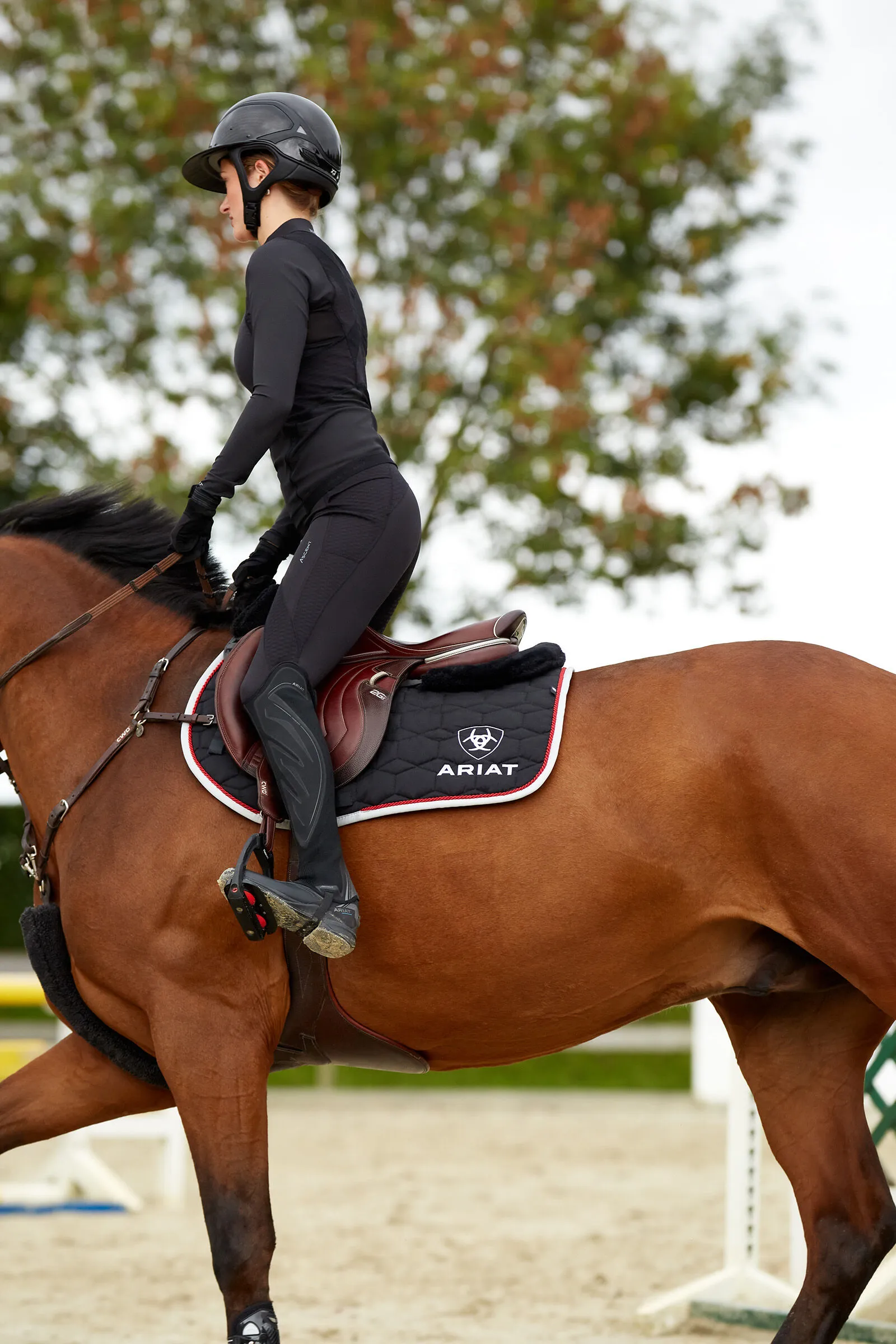 Ariat Ascent Leggins da equitazione con grip al ginocchio per donna