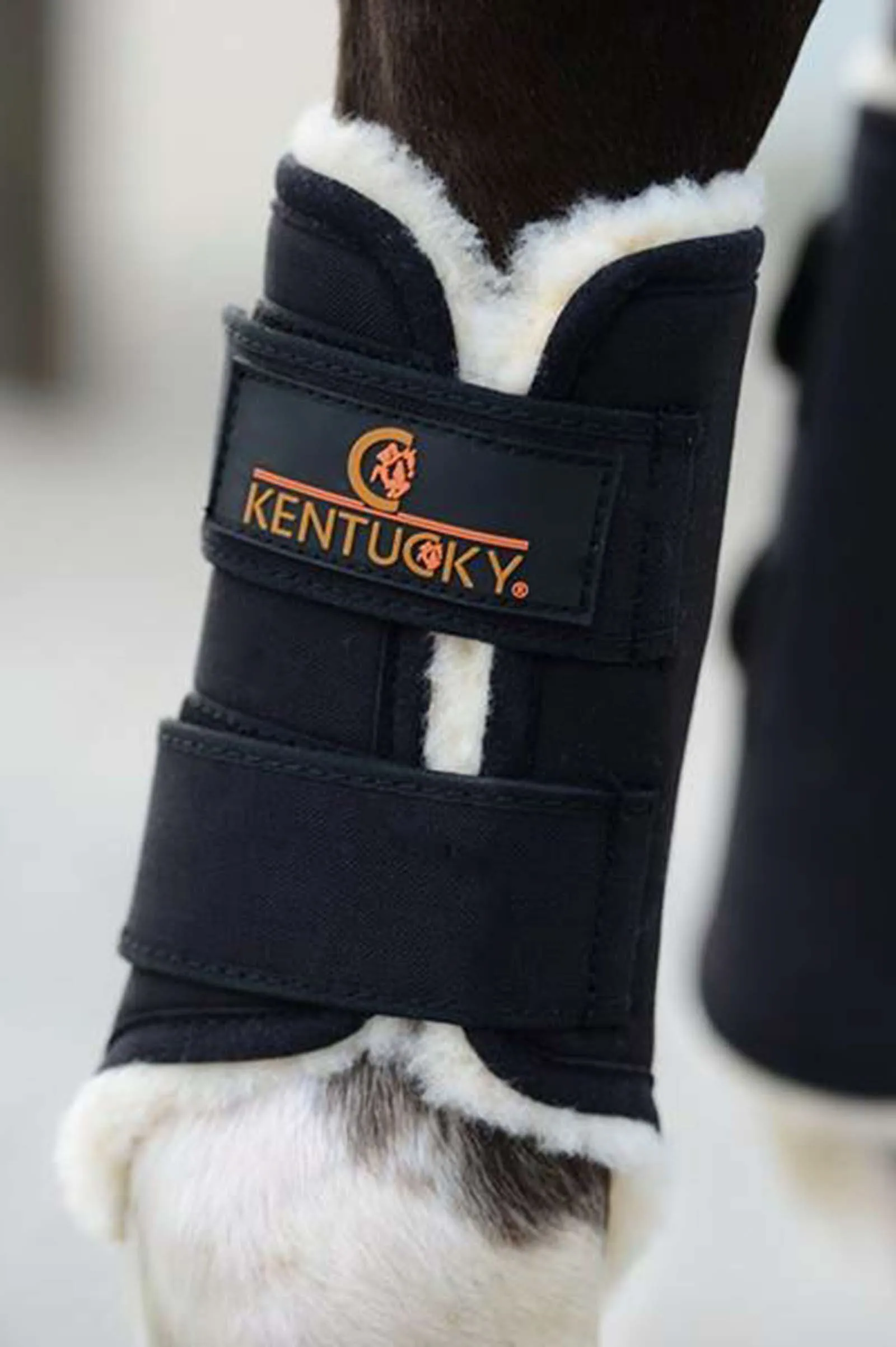 Kentucky Horsewear Solimbra Affluenza alle urne Stivali, Hind
