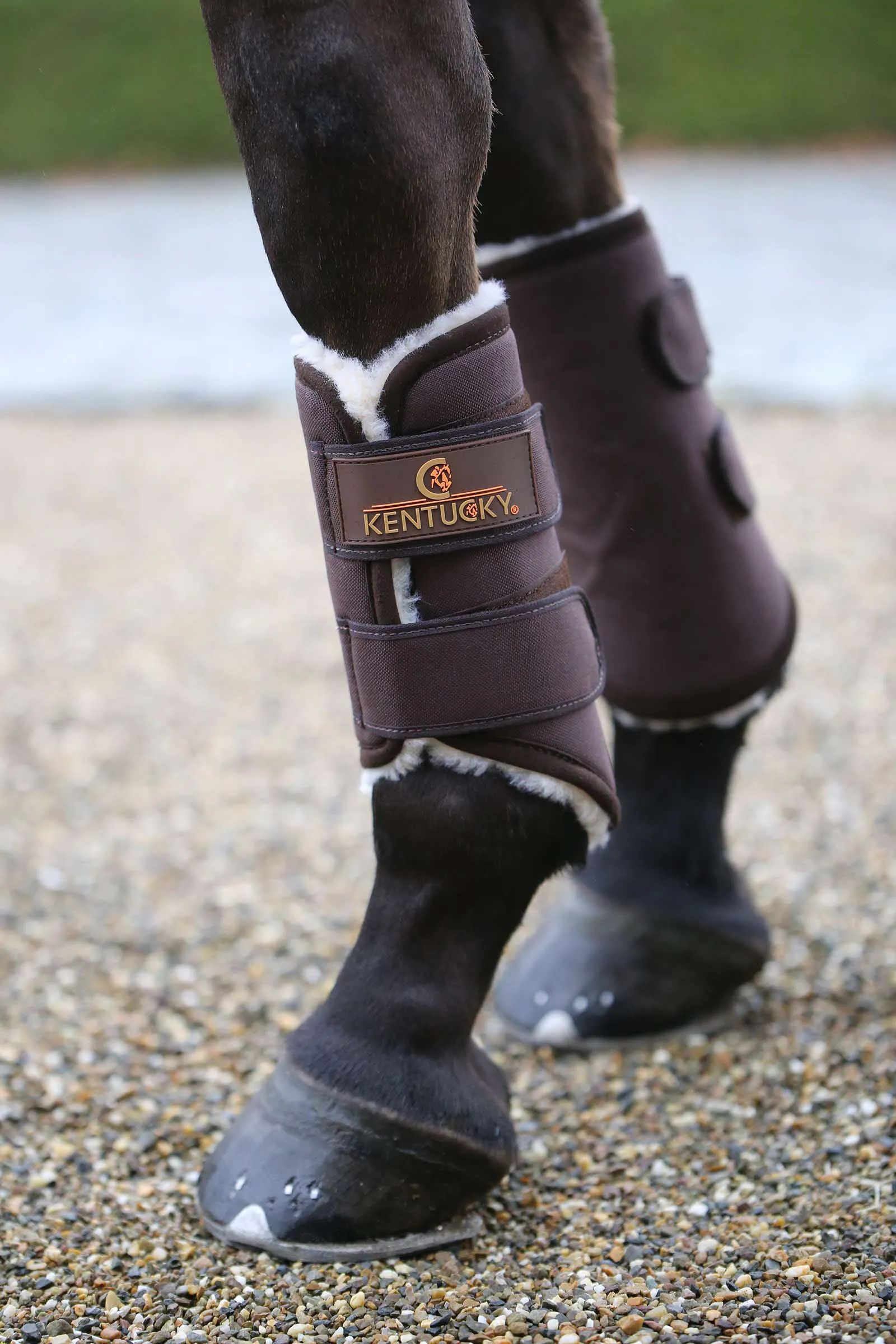 Kentucky Horsewear Solimbra Affluenza alle urne Stivali, Hind