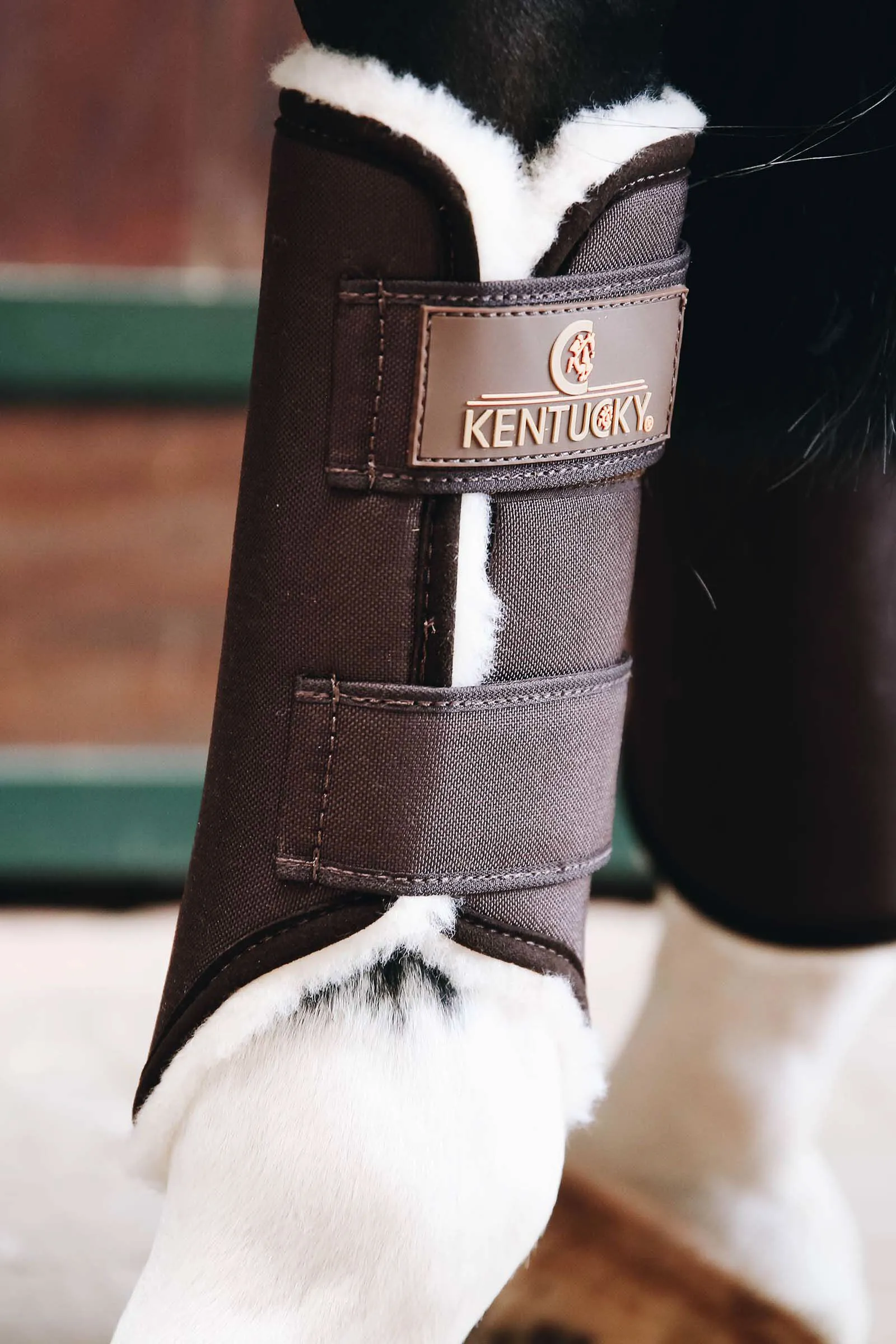 Kentucky Horsewear Solimbra Affluenza alle urne Stivali, Hind