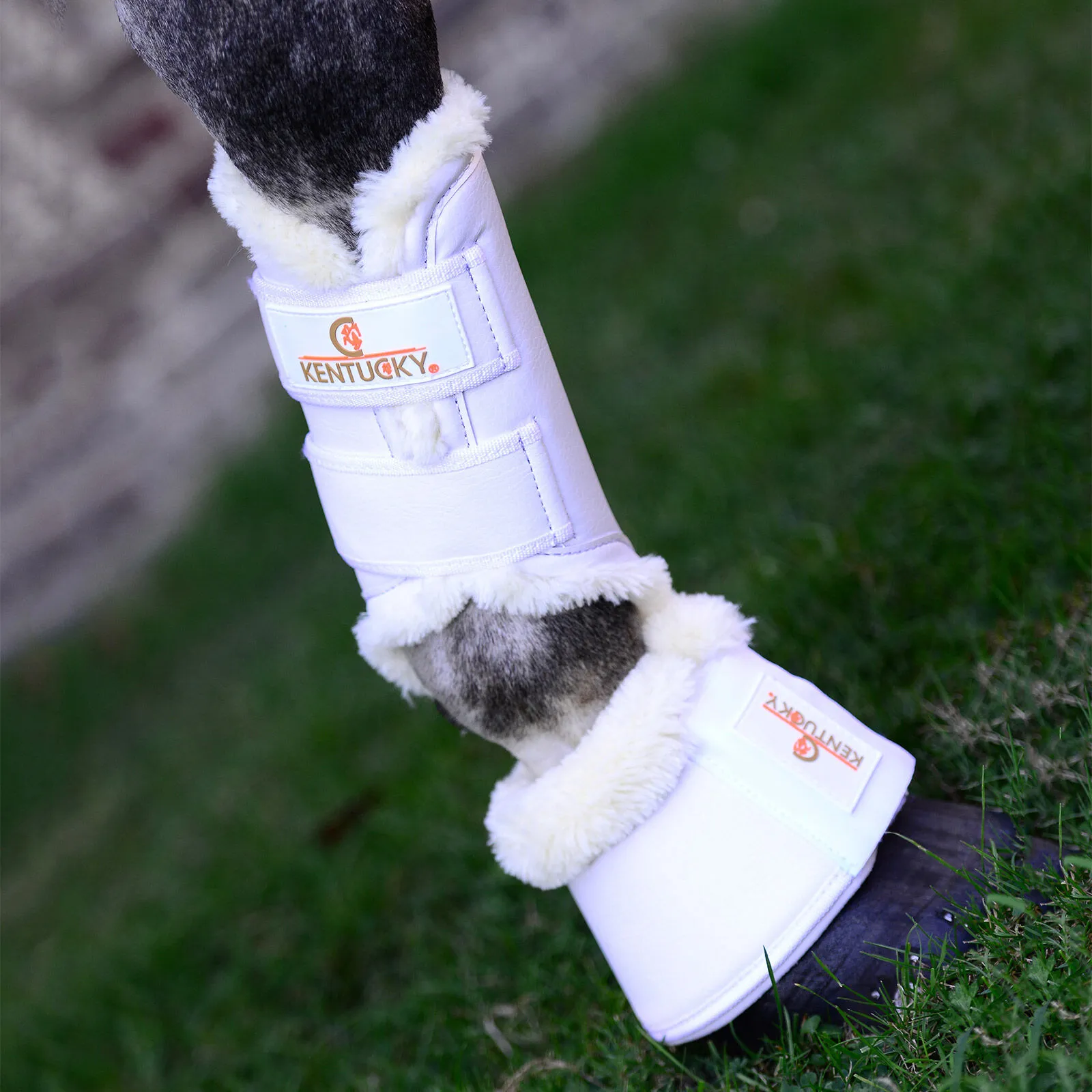 Kentucky Horsewear Solimbra Affluenza alle urne Stivali, Hind