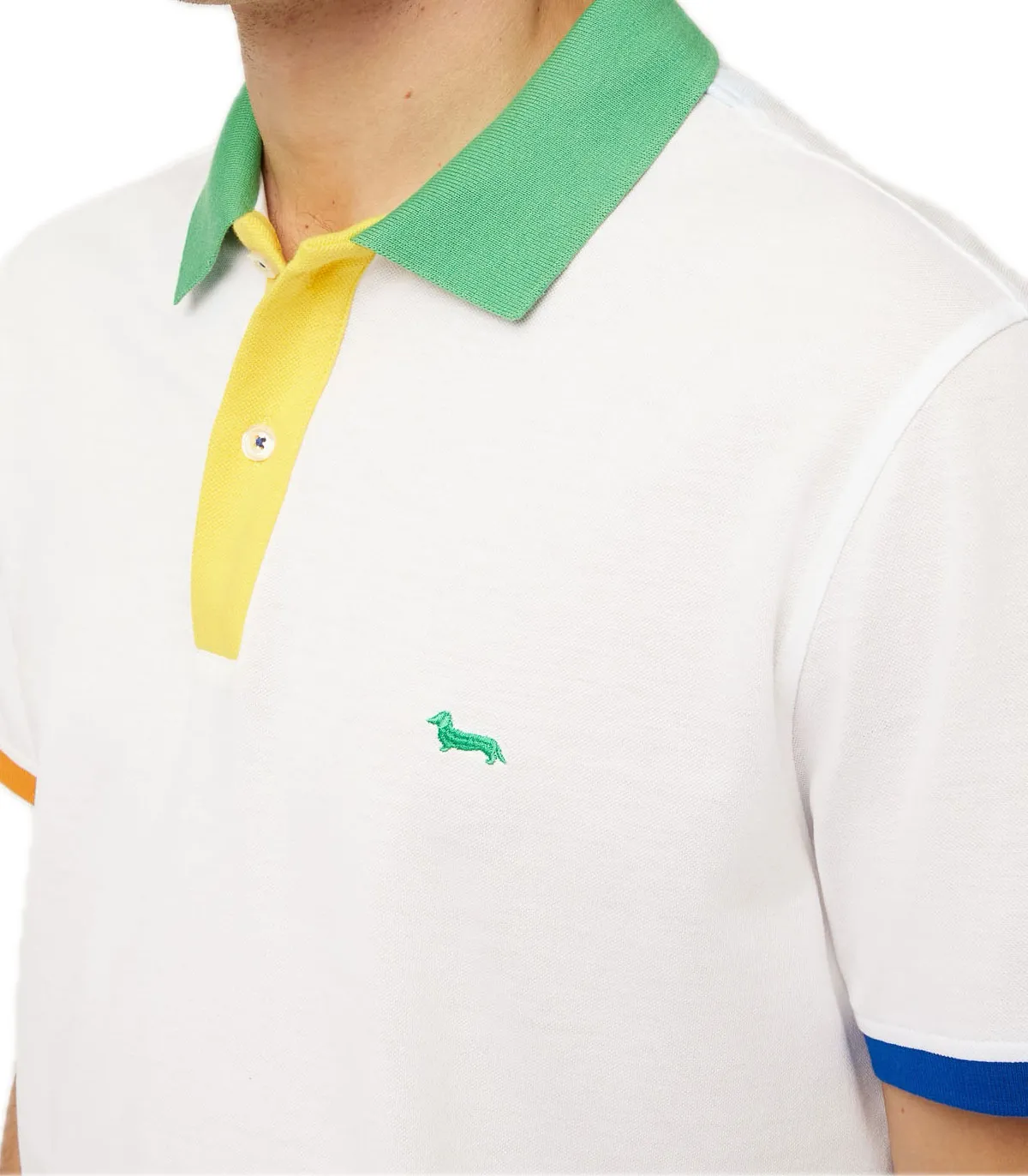 Polo Uomo Harmont & Blaine