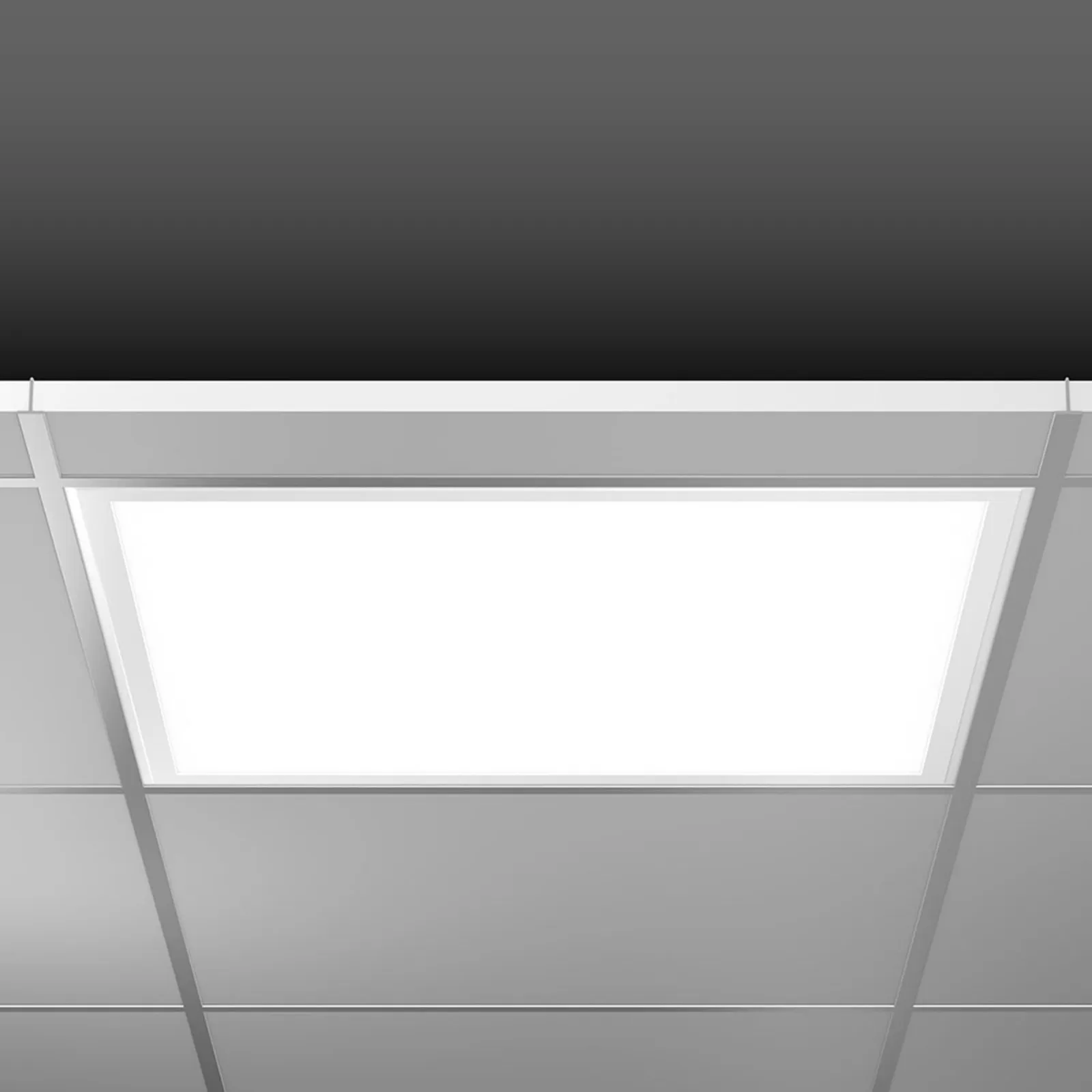 RZB Pannello LED Eco Sidelite DALI 62,2 cm 29W 830